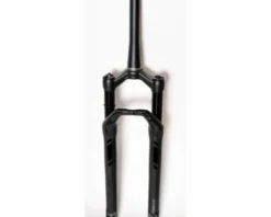 Dt-swiss DT Swiss F232 One 29 Voorvork-Zwart